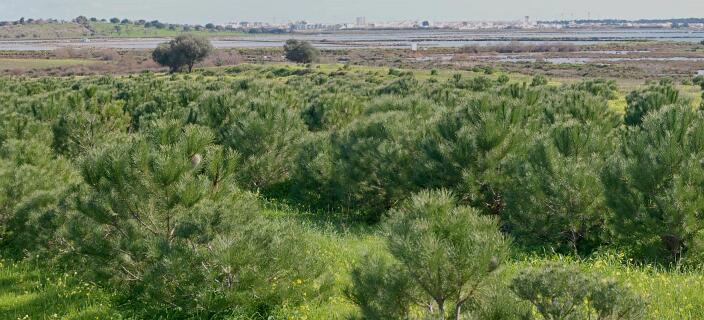 2011 01 30_1304_PF6